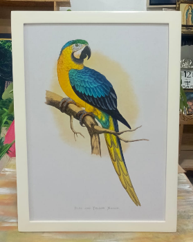 Marcos Con Impresión De Foto